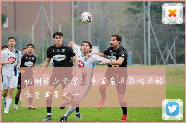 姚明商业价值：中国最具影响力的体育明星之一