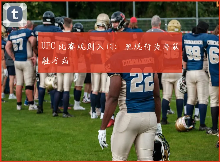 UFC 比赛规则入门：犯规行为与获胜方式