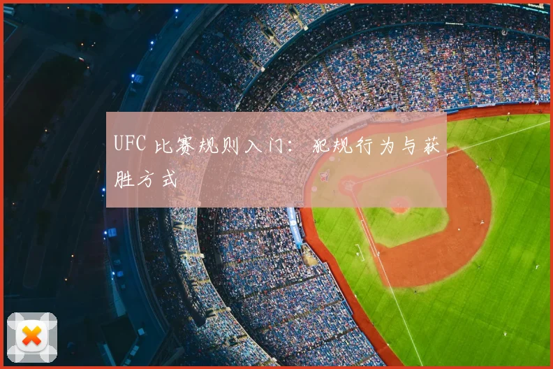 UFC 比赛规则入门：犯规行为与获胜方式